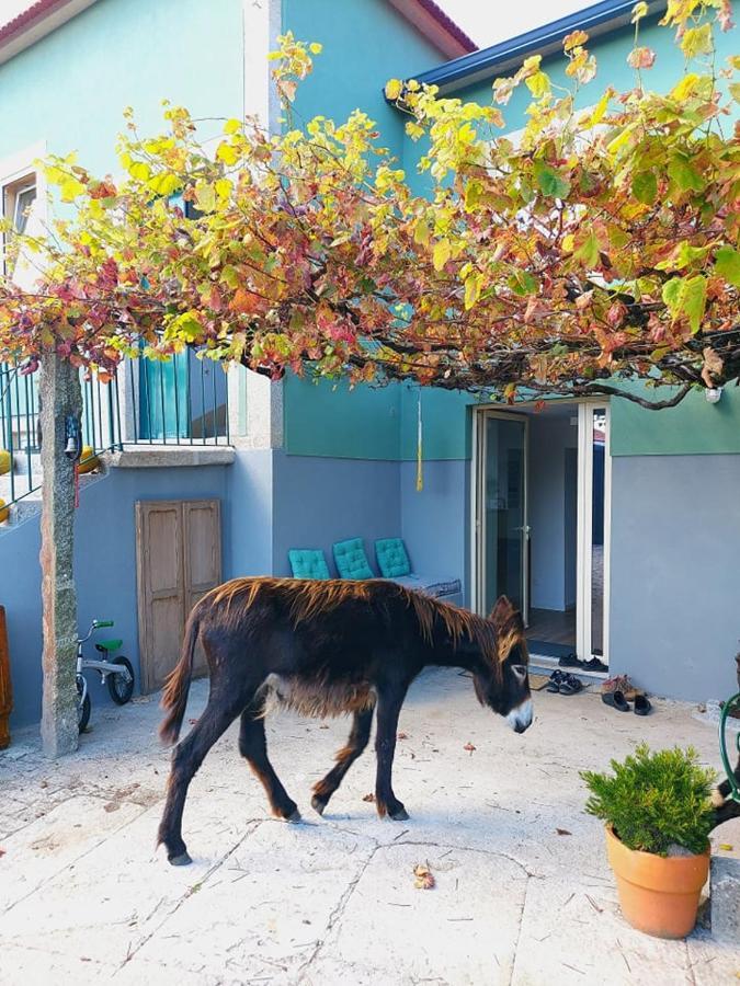 Quinta Da Quinhas Villa Vila Praia de Âncora Exterior foto