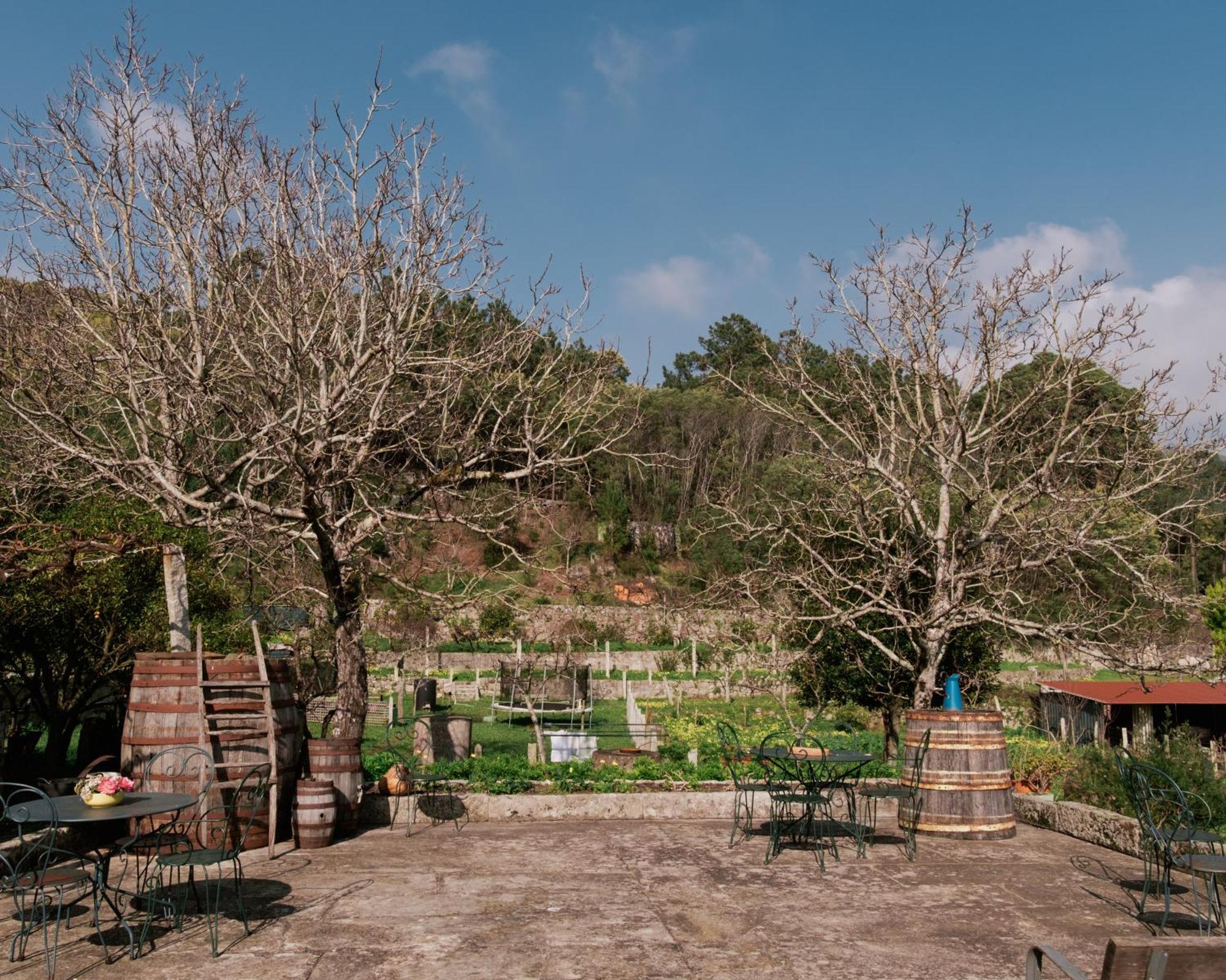Quinta Da Quinhas Villa Vila Praia de Âncora Exterior foto
